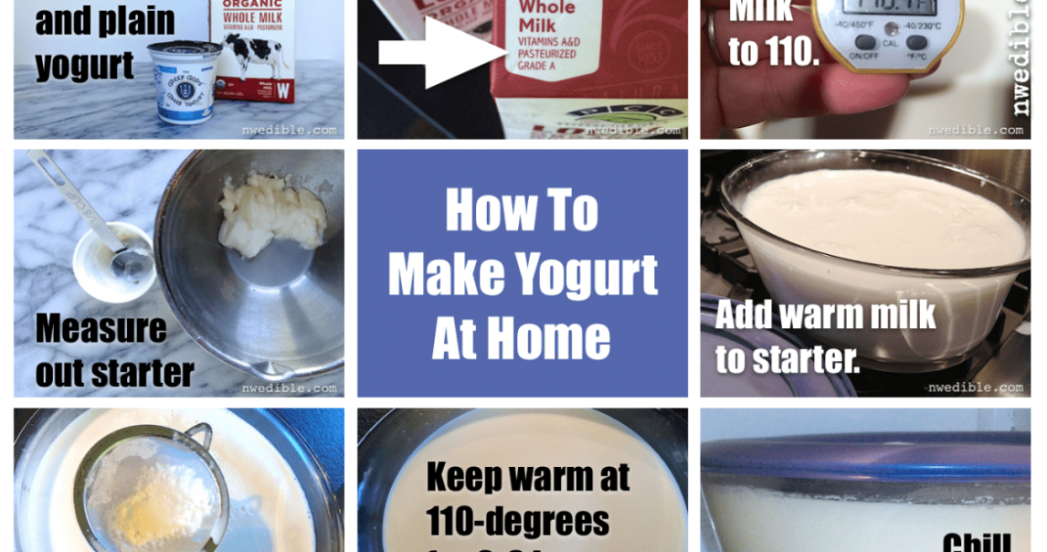 Whip Up A Batch Of Creamy Homemade Yogurt With Just Milk – Easy DIY Recipe!