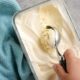 Whip Up Your Own Delicious Homemade Ice Cream In A Snap!