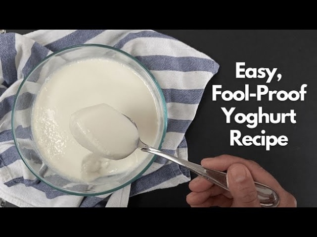 Backdate 4 Homemade Yoghurt Recipe  Easy Fool Proof Recipe For The BEST