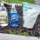 DIY Weed Killer: Easy Homemade Recipes To Keep Your Garden Weed-Free