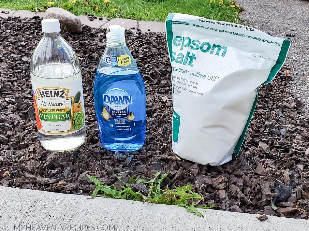 DIY Weed Killer: Easy Homemade Recipes To Keep Your Garden Weed-Free